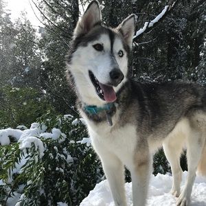 Meet your Posher, Maria